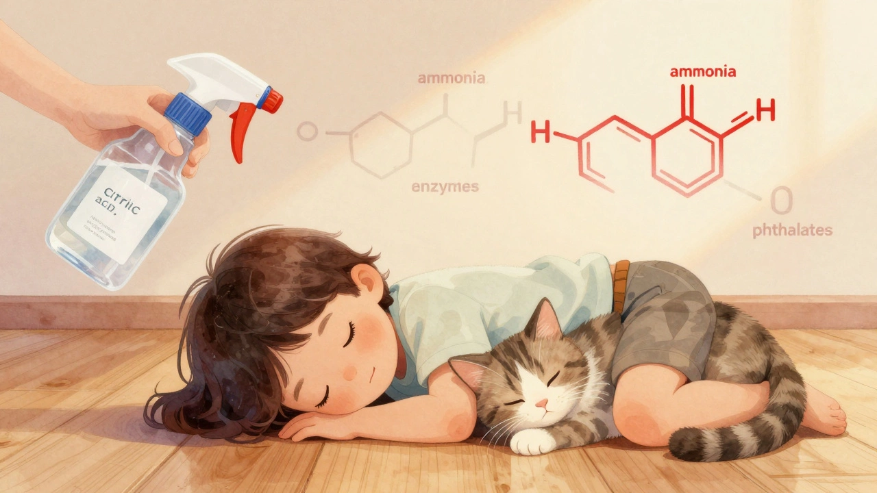 Child and cat sleeping peacefully on a floor, with natural cleaning molecules replacing harmful chemicals.