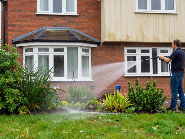 Best Chemicals for Pressure Washing a House: Safe & Effective Guide